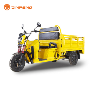 Cargo Use Electric Cargo Trike-DLS150A 
